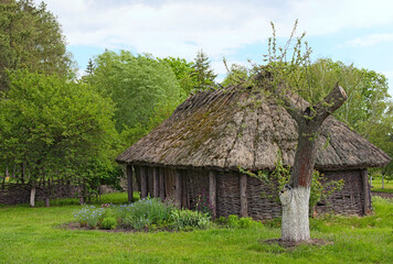 Fototapeta na wymiar Pereyaslav, Ukraine-May 16, 2020:Landscape view of ancient traditional ukrainian barn with a straw roof and wicker walls. Trees in the background. Concept of historical buildings of ancient Ukraine