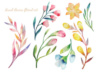 Watercolor hand painted plants and flowers. Set of floral elemnts isolated on white. Decorative greenery collection perfect for print, poster, card making and scrapbooking design
