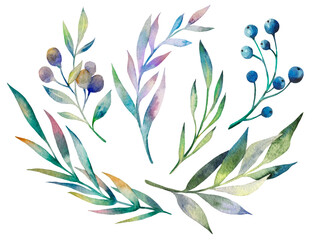 Watercolor set of green blades of grass, berries. Natural plant collection perfect for making cards illustration