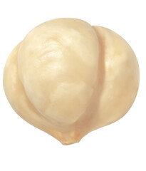 One peeled hazelnut isolated on white background