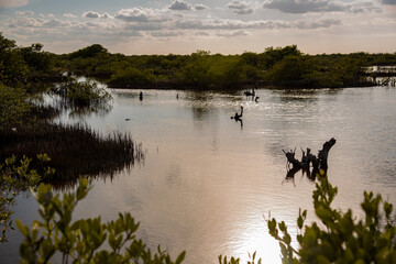 Obraz na płótnie Canvas Sunset over a mexican fresh water reservoir area - Progreso, Mexico (Wallpaper)