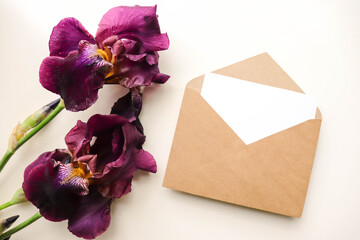 postcard mockup. purple iris flowers and an envelope. space for text. congratulation. invitation