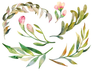 Set of hand painted watercolor loose form flowers, leaves and branches. Nature collection of plants perfect for card making