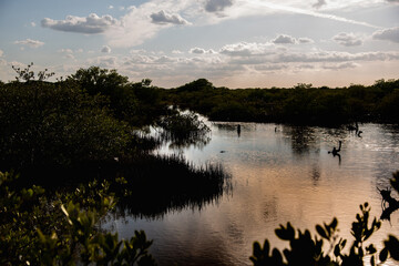Sunset over a mexican fresh water reservoir area - Progreso, Mexico (Wallpaper)

