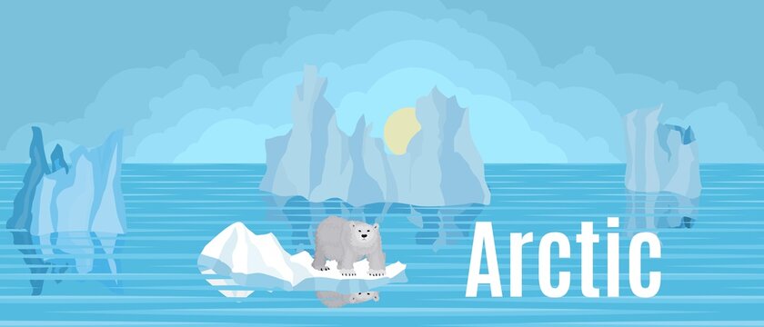 Arctic bear on an ice floe in the north