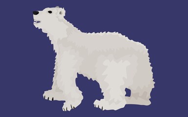 bear white flat style. on a dark background