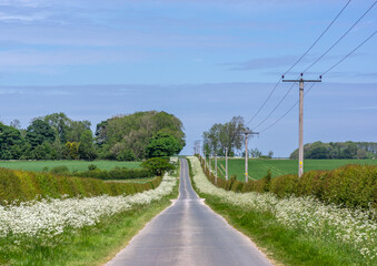 Country Lane to the distance