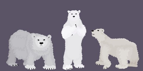 white bears from the polar circle. cartoon style