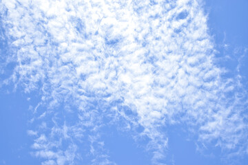 altocumulus clouds like fluff float in the sky.
