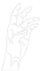 vector illustration of hands, line drawing, vector