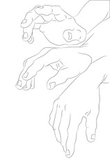 vector illustration of hands, line drawing, vector