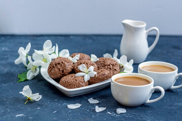 Spring composition with apple tree flowers and homemade chocolate cookies. Dessert for served for coffee break on a heart shaped plate. Snack on a spring day in the garden.