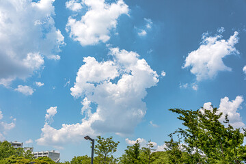 夏の青い空と大きな雲