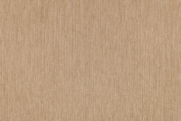 Fototapeta premium Background with a texture.