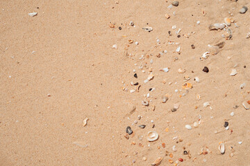 Copy space of sand beach texture abstract background.