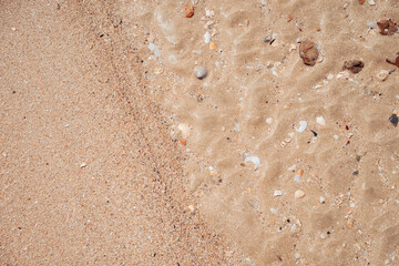 Copy space of sand beach texture abstract background.