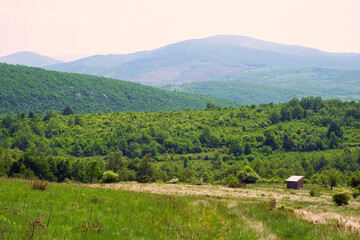Fototapeta na wymiar Amazing mountain view of the blooming meadow, rural road and small hut on the mountain Rtanj, Serbia