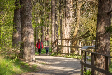Two women go into the distance along a forest walkway