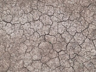 dry cracked earth