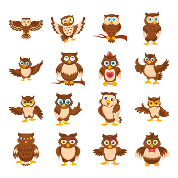 Owl Cartoon icons