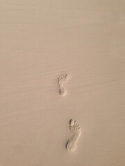 footprints in the sea sand 