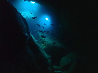 水中洞窟（雲見）