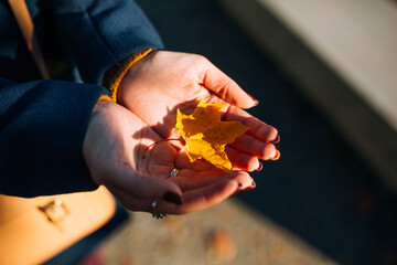leaves in hands
