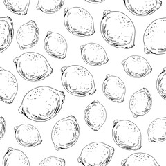 Hand drawn seamless pattern. Ink sketch lemons on white background. Citrus fruit design.