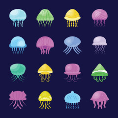 Fototapeta premium Sea Creature icons