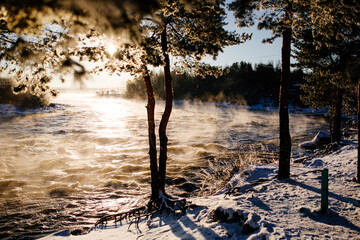 a rushing river with rapids and pine trees photographed at sunset