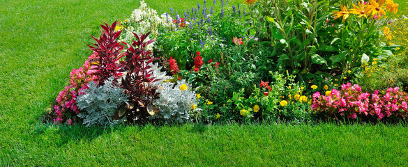 Blooming colorful summer flowers on a park.Wide photo.