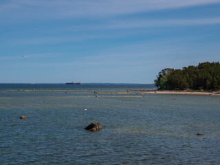 Baltic sea shore with trees