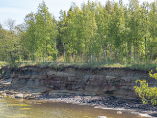 Baltic sea shore with trees