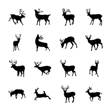 Deer Animal Icons set 