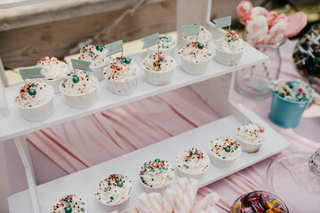 wonderful white cupcakes with cream and handmade sweets in the welcome area