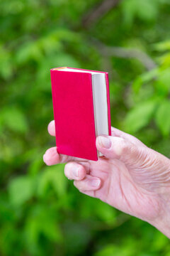 Female hand holds a mini book in leather cover on a background of bright green foliage