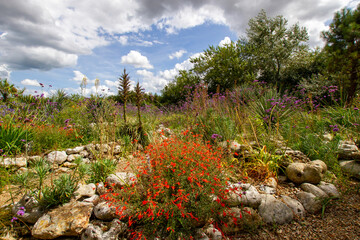 A summer view in the country