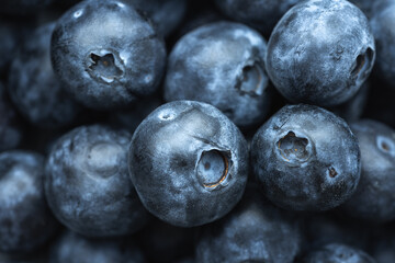 Close up of blueberries. Gastronomic concept