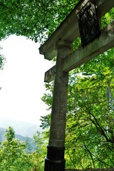 Shinto shrine gate 