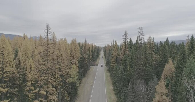 
Aerial shot of Montana USA. Road, mountains, terrain, trees, forest, yellow and green trees, autumn, landscape, nature, untouched nature, wildlife, drone video.