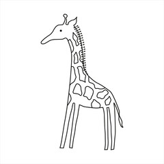 Giraffe, simple vector illustration, line art