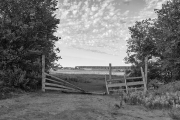 Broken gate in the cattle pen cows and horses on the farm in gray tones.