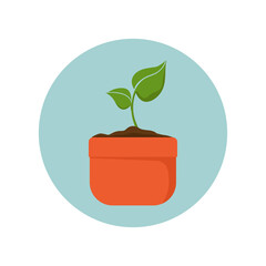 Potted plant colorful icon, Isolated vector