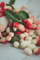 Carissa carandas Linn or Bengal currants and leaves