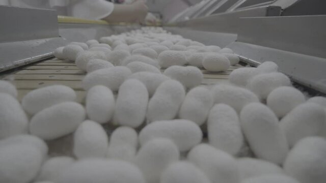 Close-up video shoot of people who parse and process silkworm cocoons for silk thread production. Slog 2 was shot in video format.