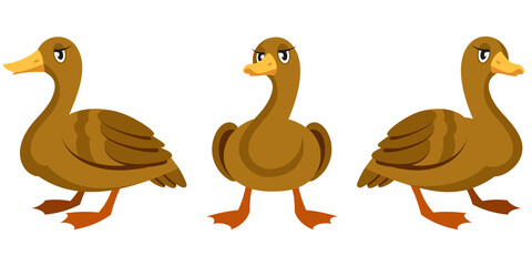 Duck in different poses. Farm animal in cartoon style.