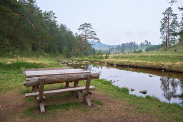 Fototapeta premium Beautiful view of mountain stream in spring