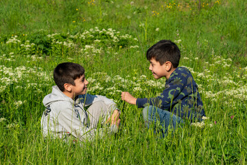 Two boys are sitting in the meadow on a sunny day and have fun talking