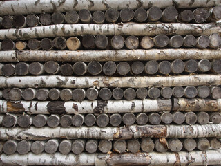 The stack of cuted birch pipes . The textured background of the legs birch wood with bark