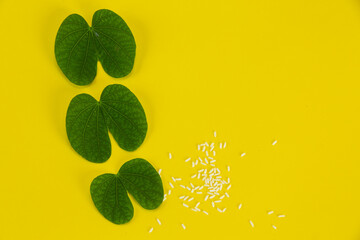 Dussehra greeting cards use apta / Bauhinia racemosa on a yellow background.